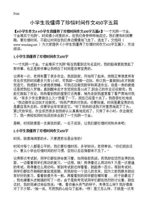 小学生我懂得了珍惜时间作文450字五篇