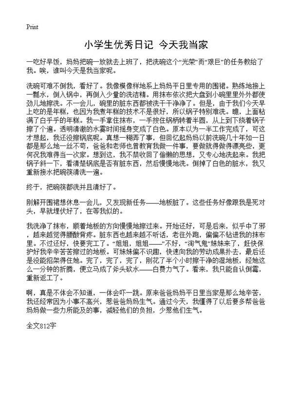 小学生优秀日记 今天我当家
