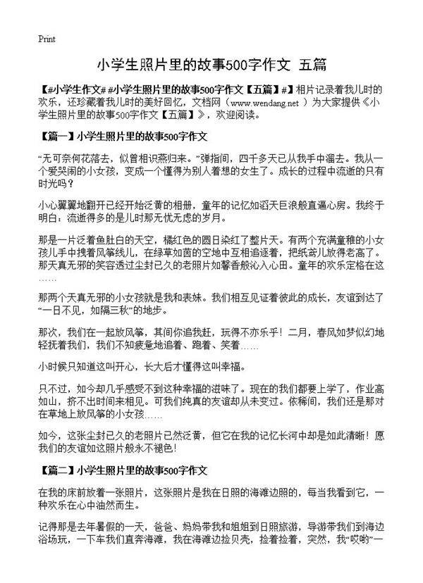 小学生照片里的故事500字作文