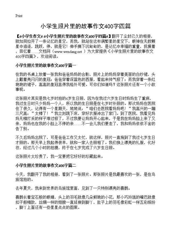 小学生照片里的故事作文400字四篇