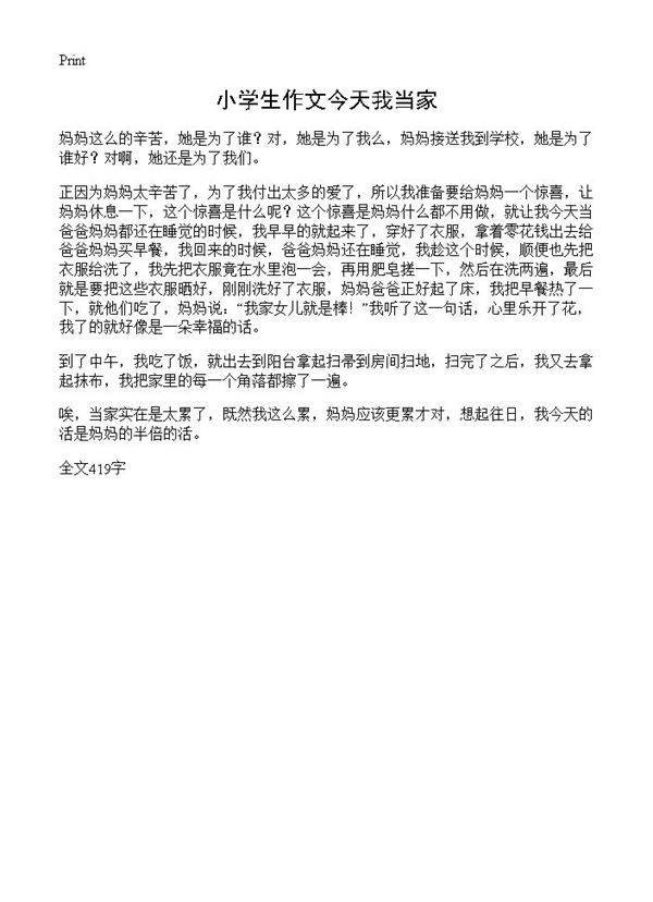 小学生作文今天我当家