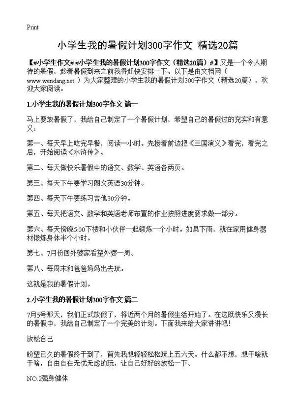 小学生我的暑假计划300字作文20篇