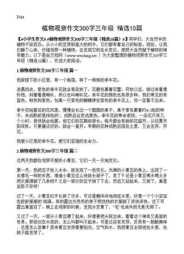 植物观察作文300字三年级10篇
