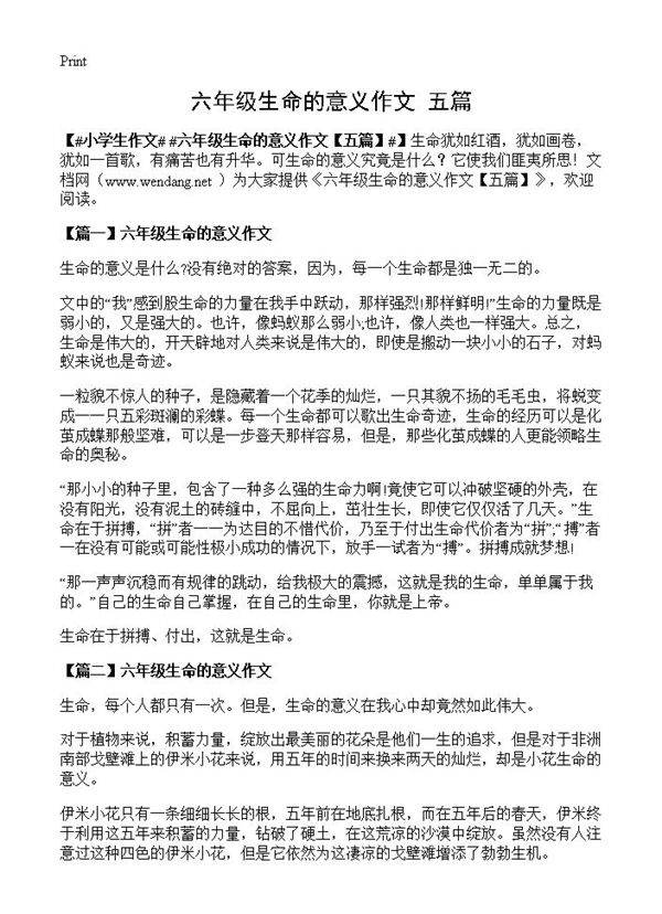 六年级生命的意义作文