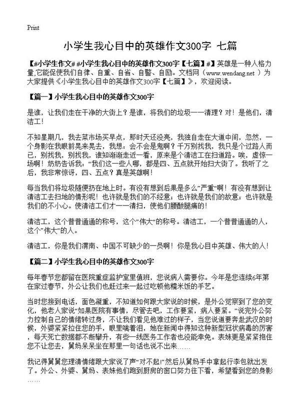 小学生我心目中的英雄作文300字