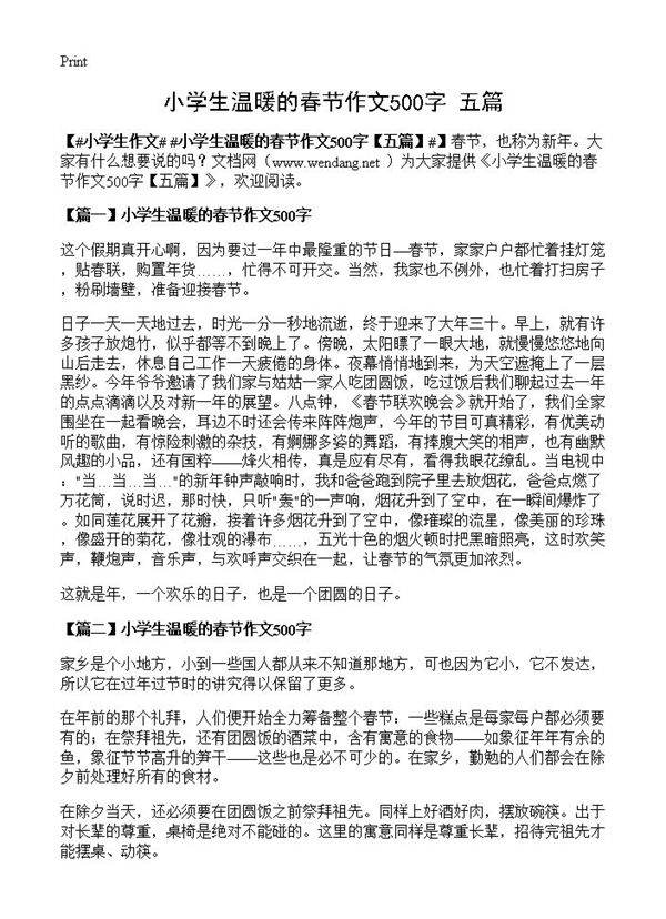 小学生温暖的春节作文500字