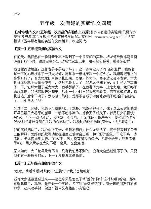 五年级一次有趣的实验作文四篇