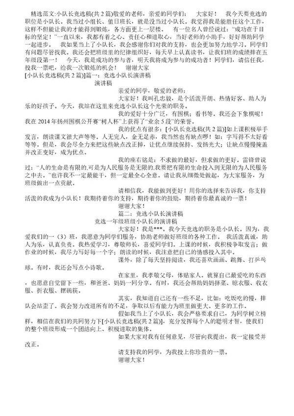 小队长竞选稿