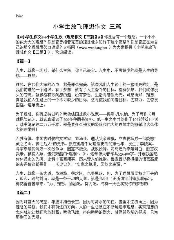 小学生放飞理想作文