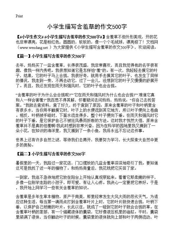 小学生描写含羞草的作文500字