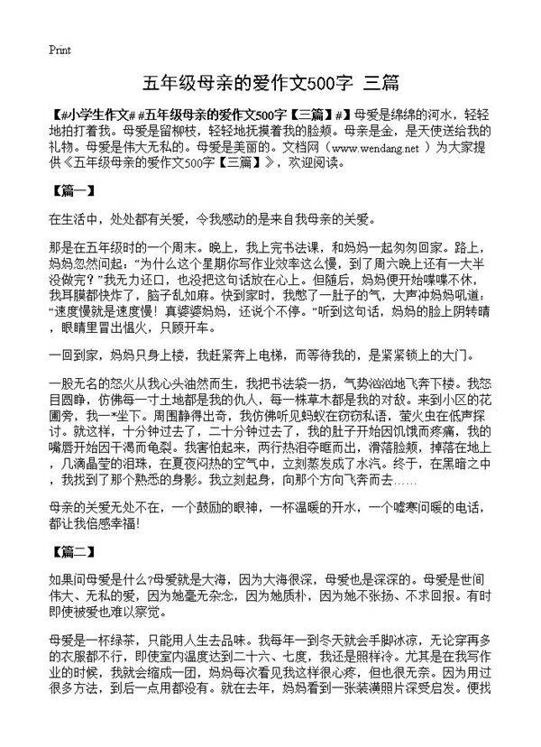 五年级母亲的爱作文500字
