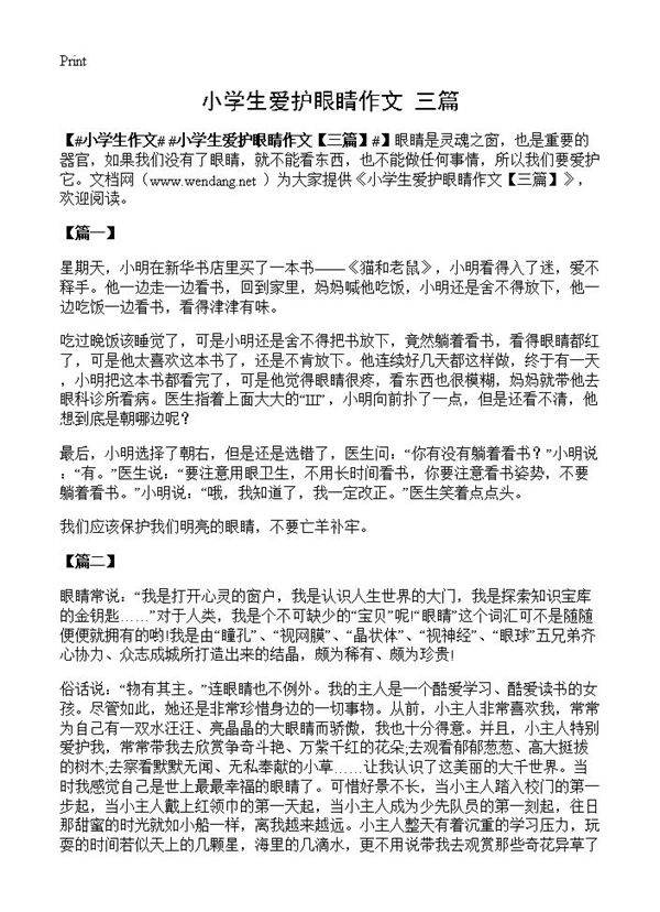 小学生爱护眼睛作文