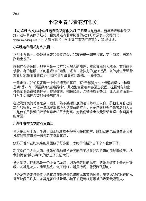 小学生春节看花灯作文