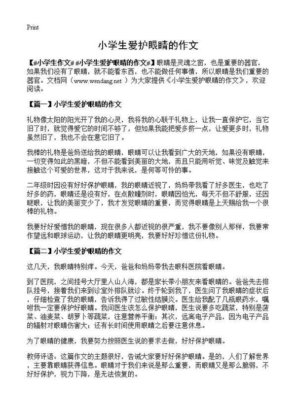 小学生爱护眼睛的作文