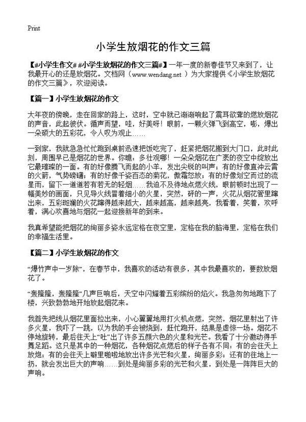 小学生放烟花的作文三篇