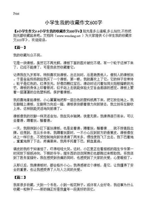 小学生我的收藏作文600字