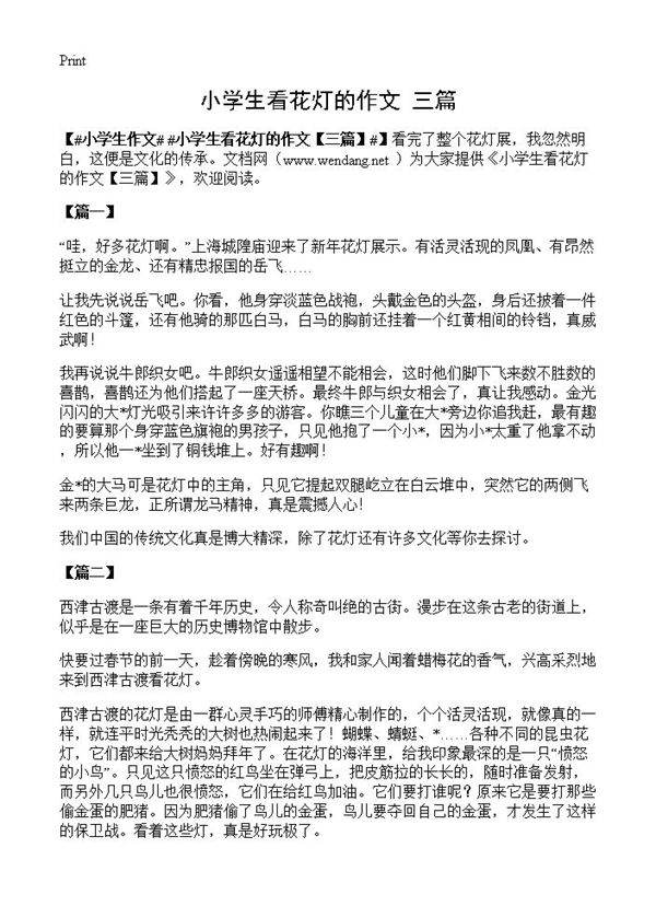 小学生看花灯的作文