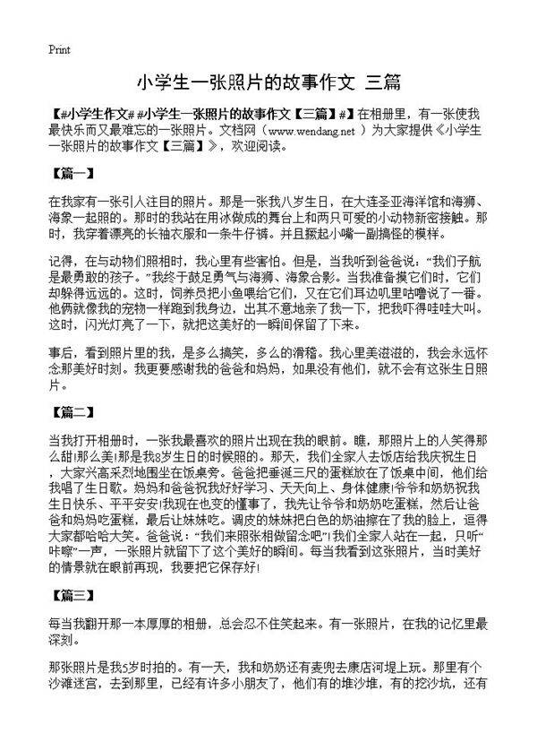 小学生一张照片的故事作文