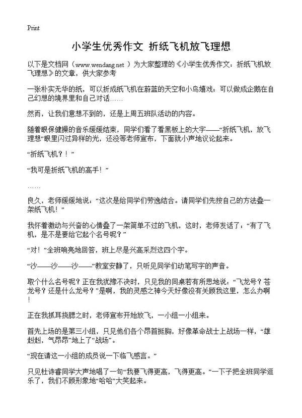 小学生优秀作文 折纸飞机放飞理想