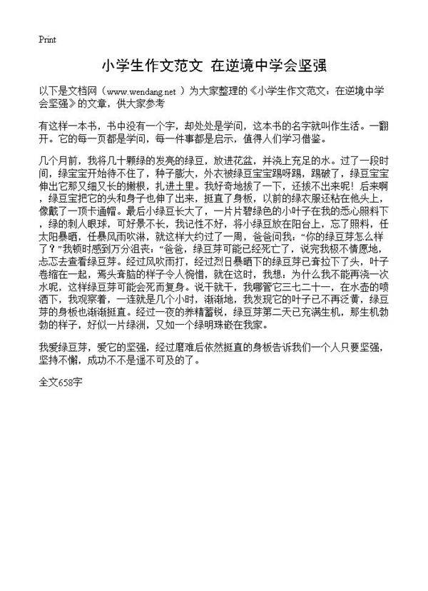 小学生作文范文 在逆境中学会坚强