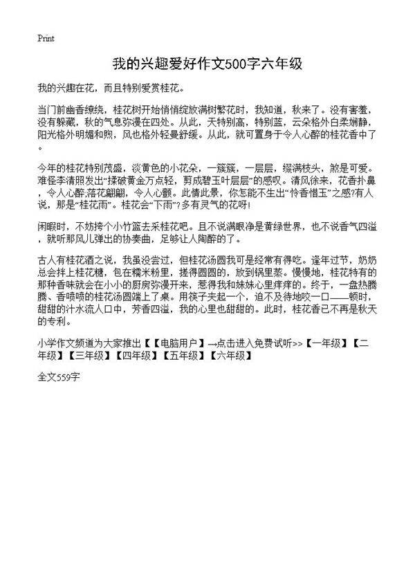 我的兴趣爱好作文500字六年级