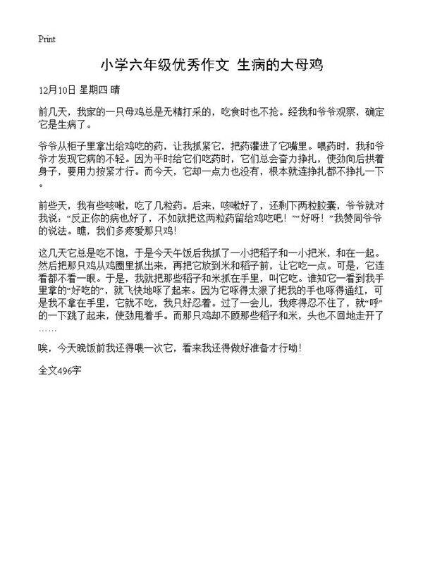 小学六年级优秀作文 生病的大母鸡