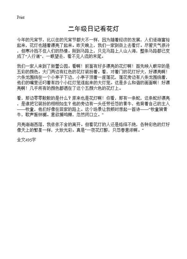 二年级日记看花灯