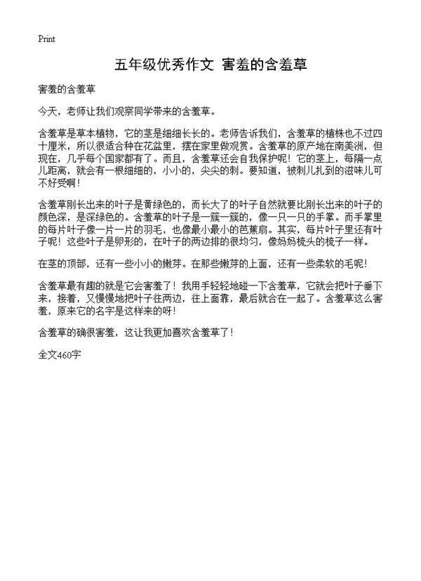 五年级优秀作文 害羞的含羞草