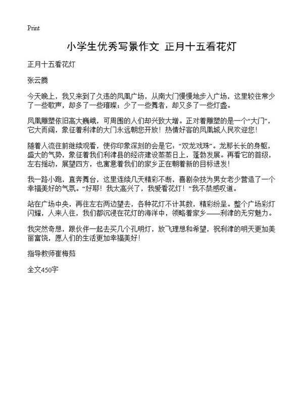 小学生优秀写景作文 正月十五看花灯