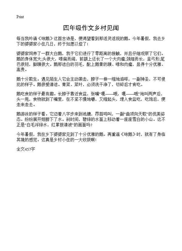 四年级作文乡村见闻