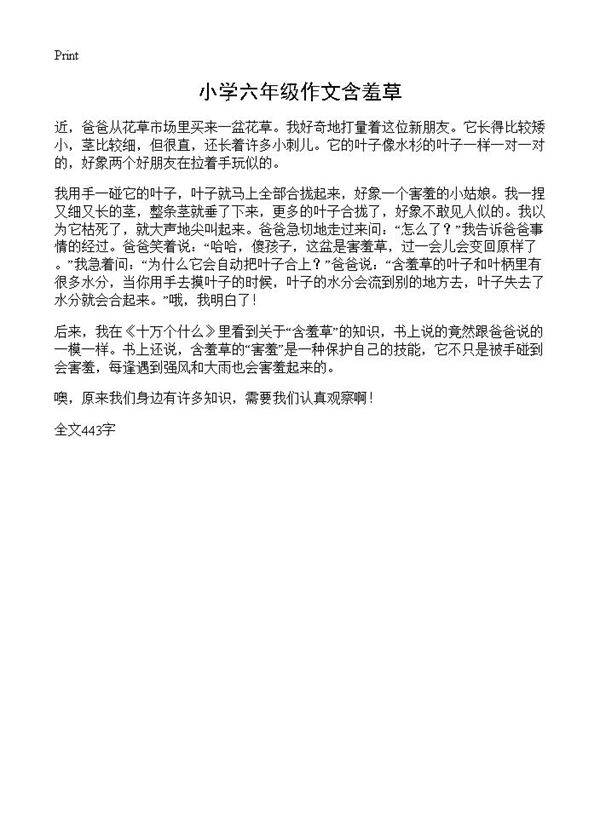 小学六年级作文含羞草