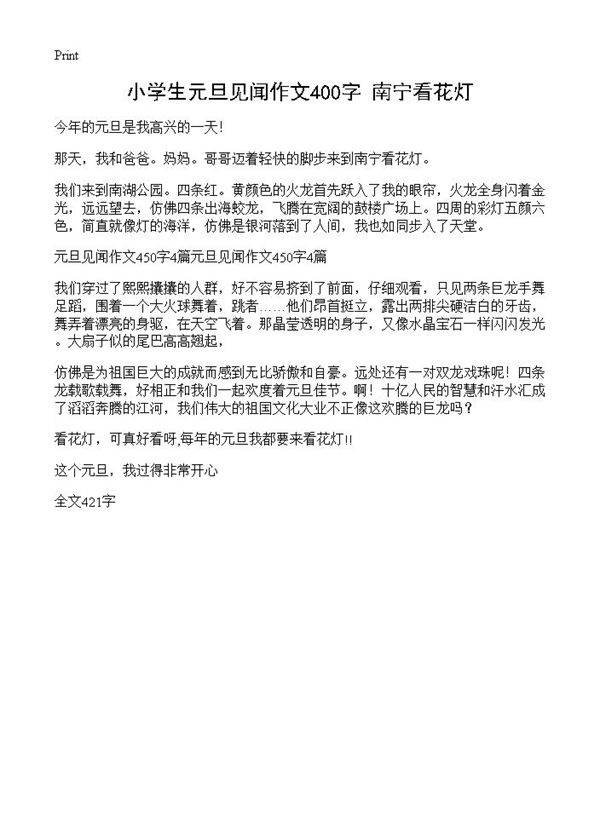 小学生元旦见闻作文400字 南宁看花灯
