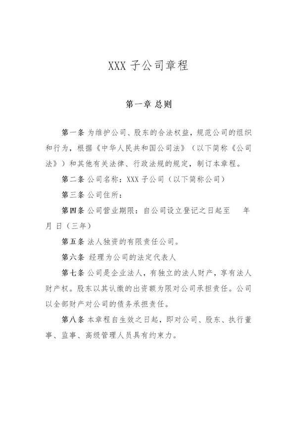 子公司公司章程