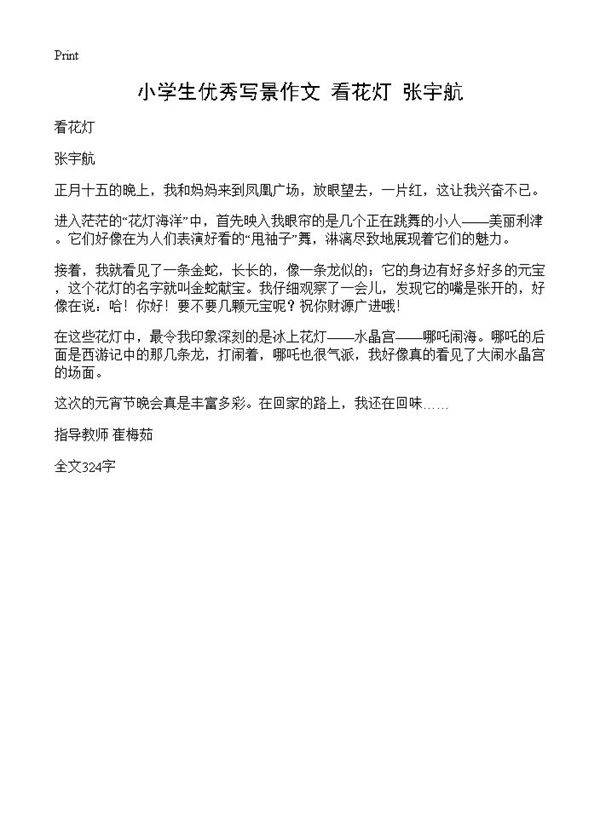 小学生优秀写景作文 看花灯 张宇航