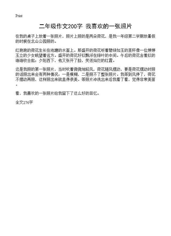 二年级作文200字 我喜欢的一张照片