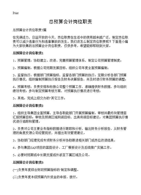 总预算会计岗位职责