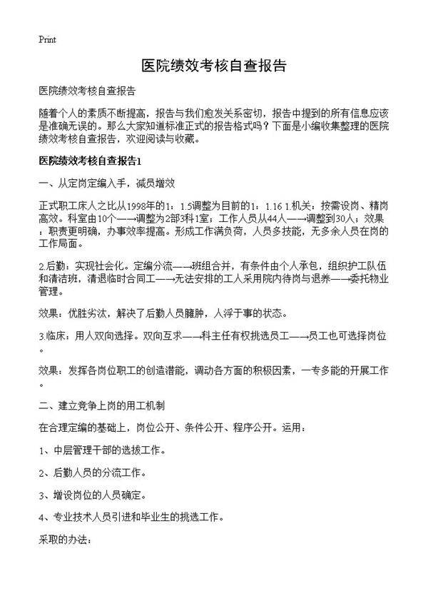 医院绩效考核自查报告