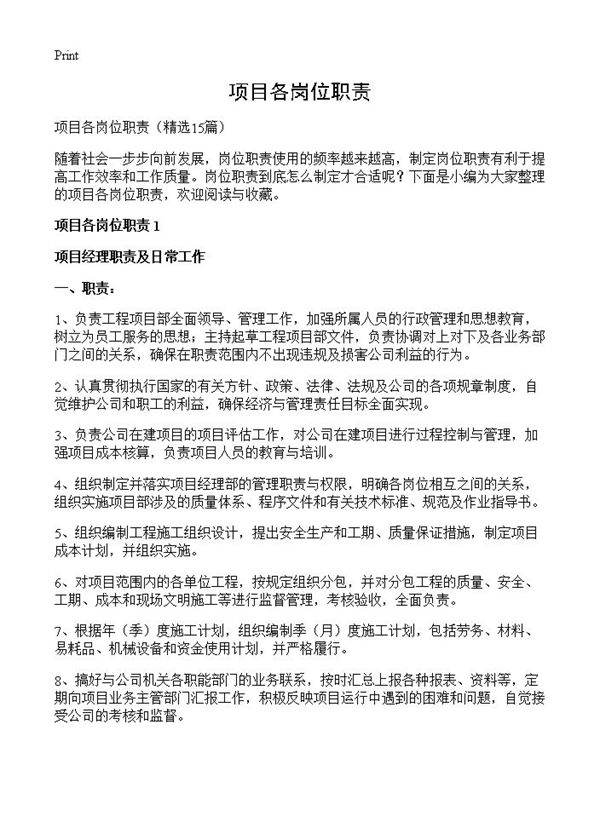 项目各岗位职责15篇