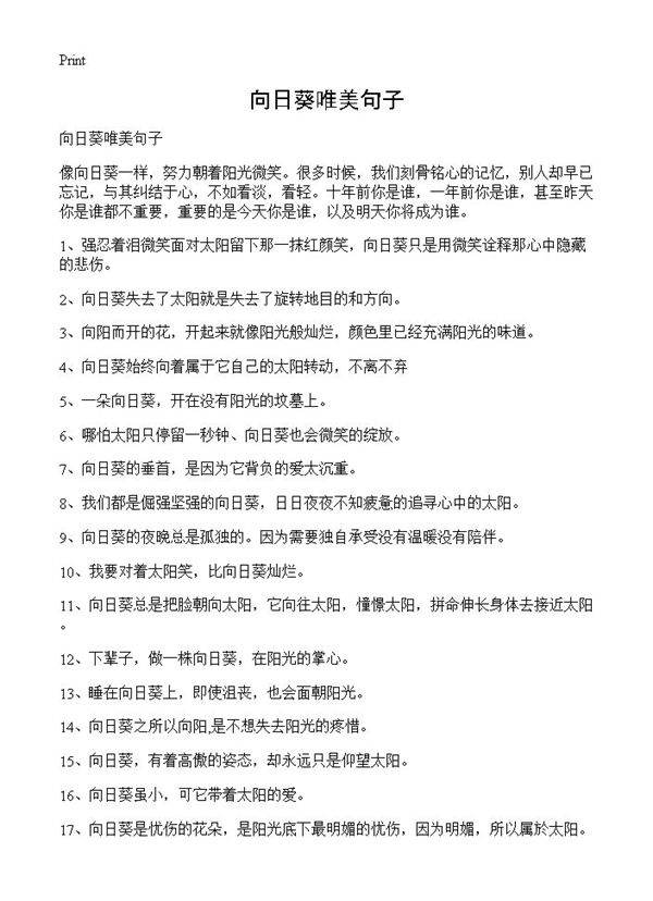 向日葵唯美句子