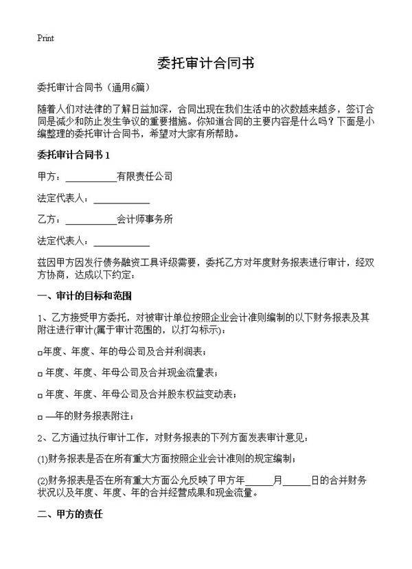 委托审计合同书6篇