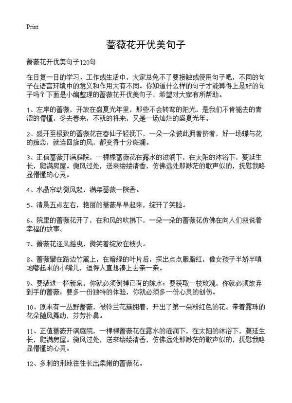 蔷薇花开优美句子