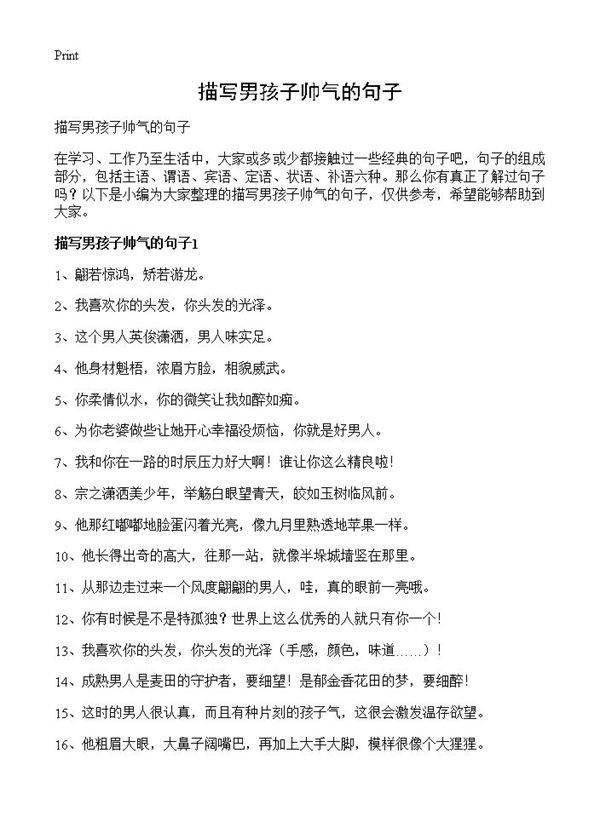 描写男孩子帅气的句子