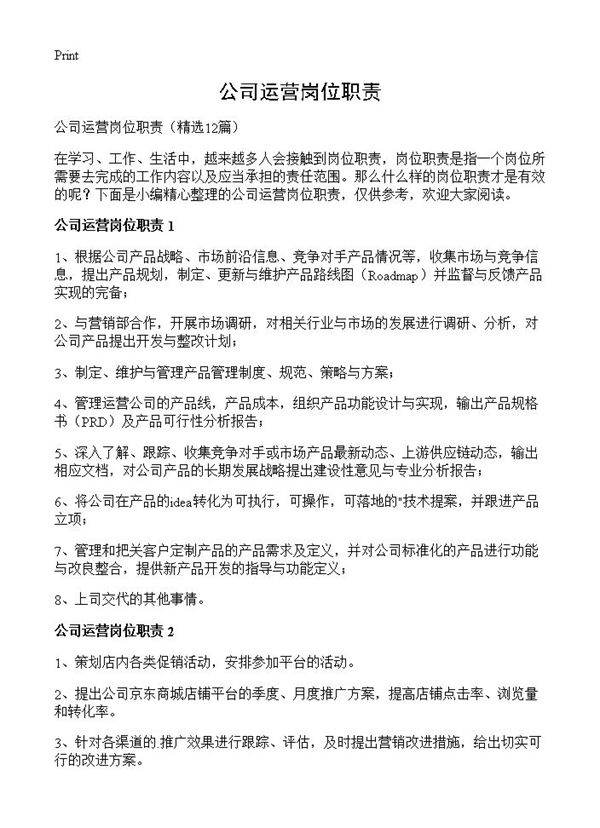 公司运营岗位职责12篇