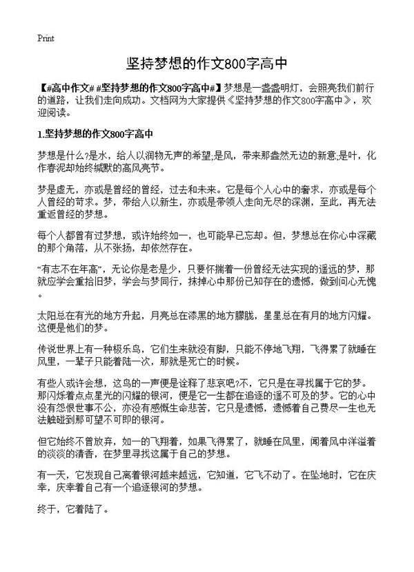 坚持梦想的作文800字高中