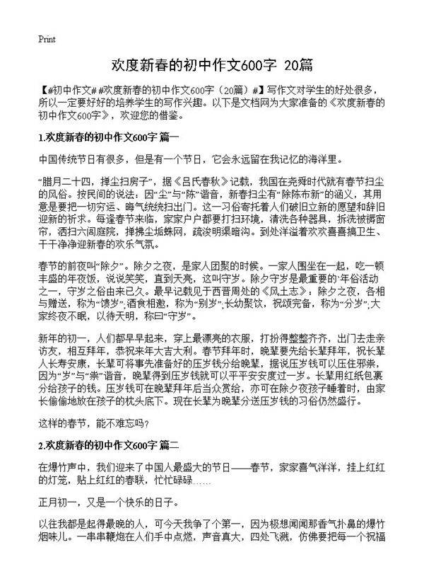 欢度新春的初中作文600字20篇