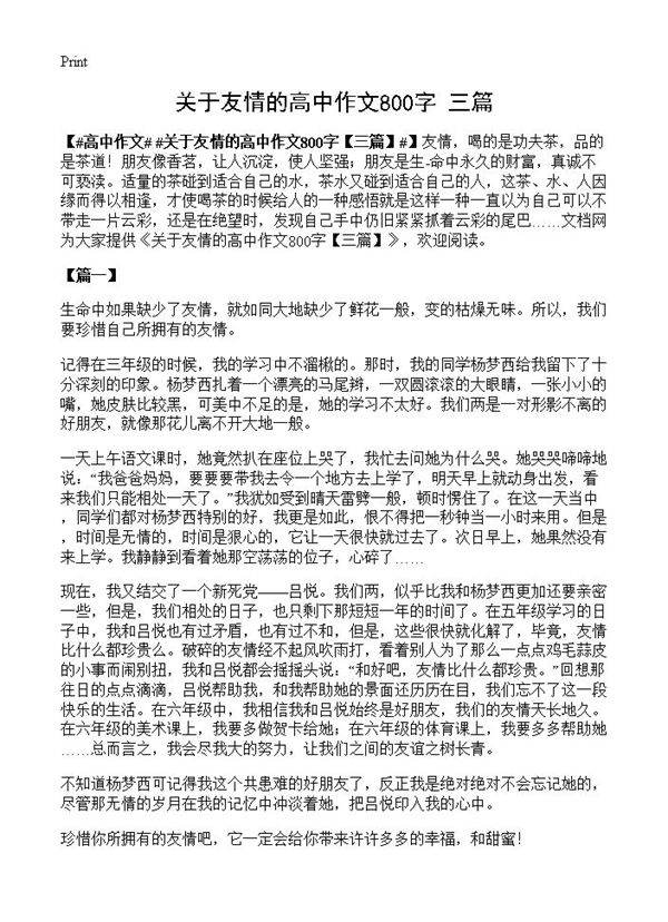 关于友情的高中作文800字