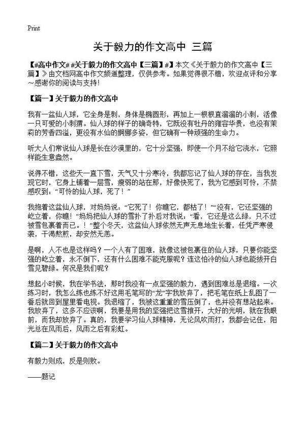 关于毅力的作文高中