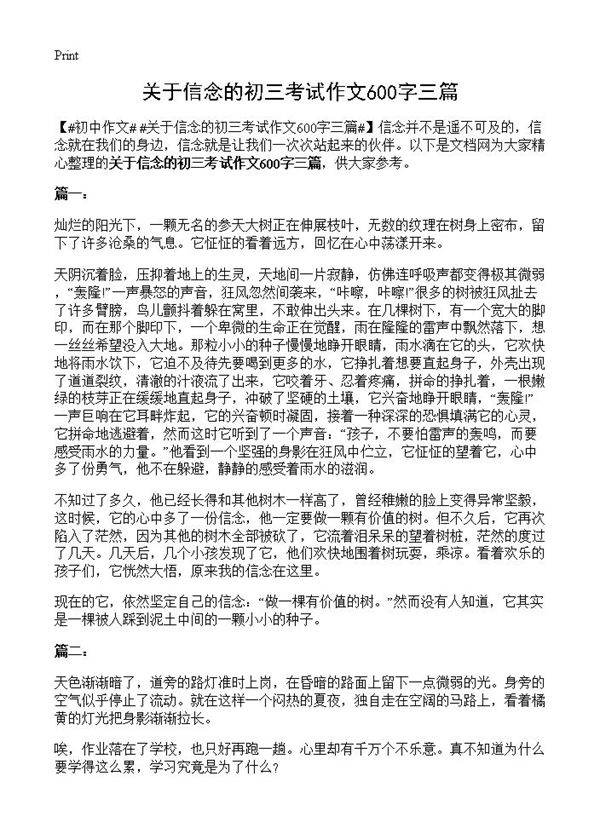 关于信念的初三考试作文600字三篇