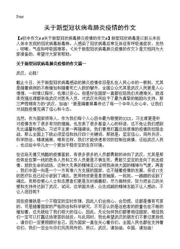 关于新型冠状病毒肺炎疫情的作文