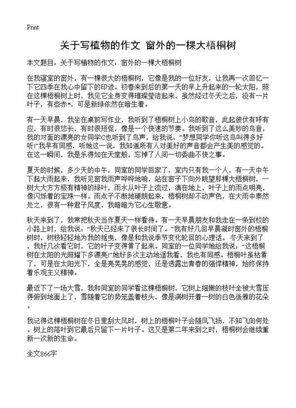 关于写植物的作文 窗外的一棵大梧桐树